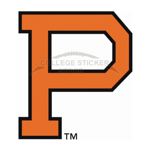 Homemade Princeton Tigers Iron-on Transfers (Wall Stickers)NO.5930